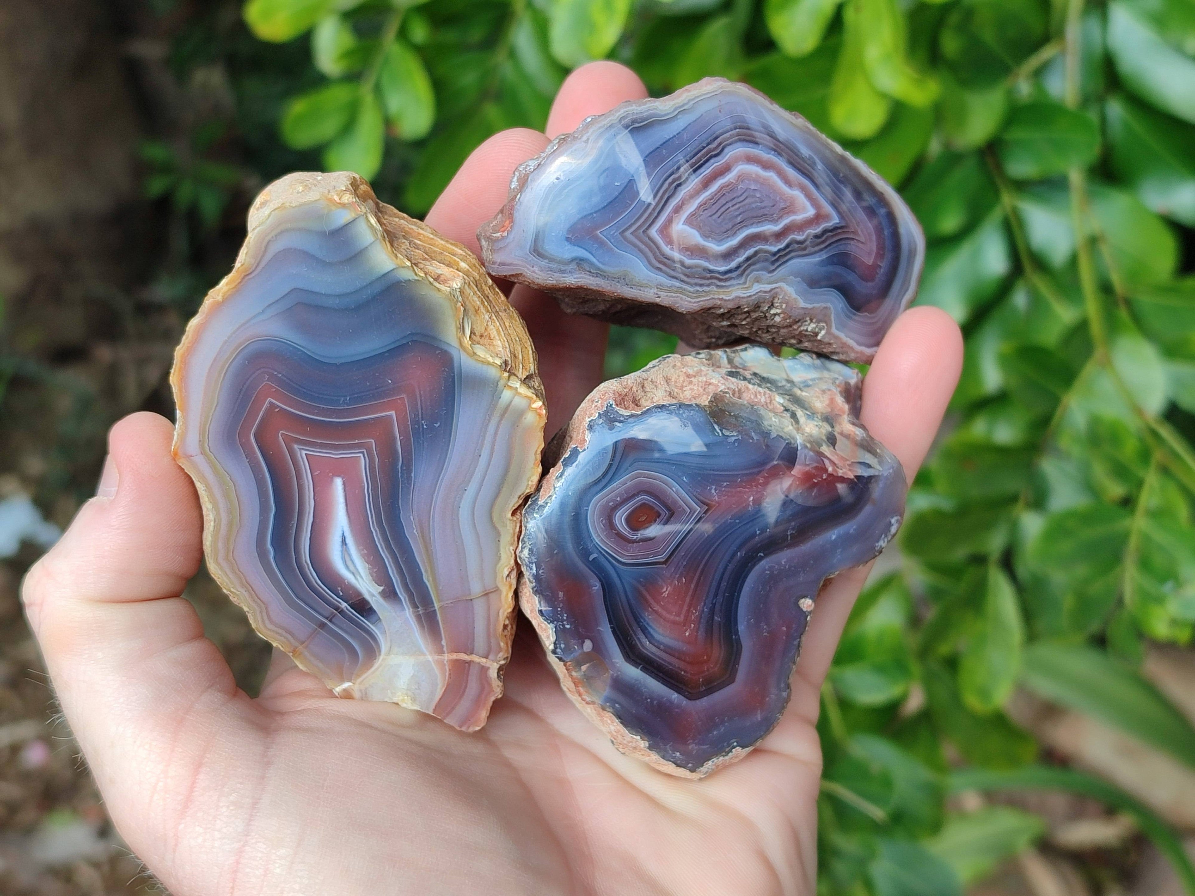 Polished Red Sashe River Agate Nodules x 6 From Sashe River, Zimbabwe - Toprock Gemstones and Minerals 