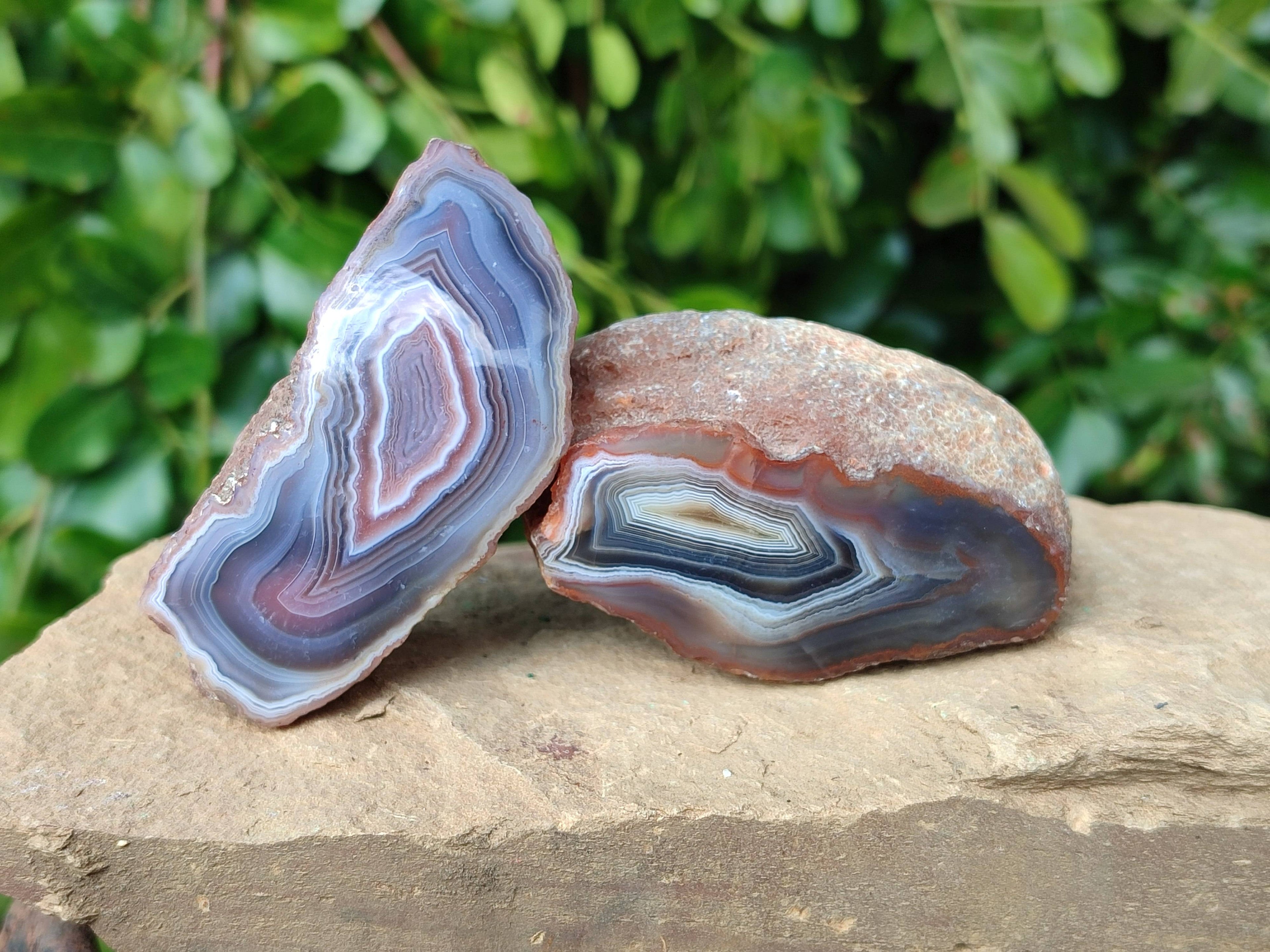 Polished Red Sashe River Agate Nodules x 6 From Sashe River, Zimbabwe - Toprock Gemstones and Minerals 