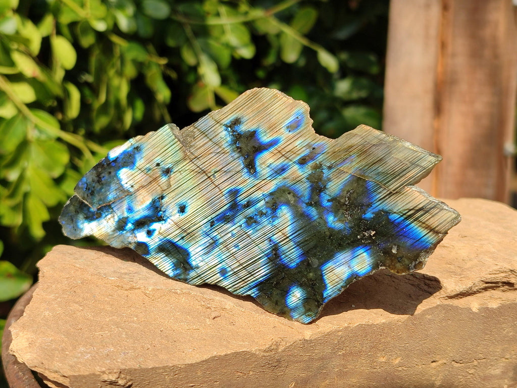 Polished On One Side Labradorite x 3 From Tulear, Madagascar - Toprock Gemstones and Minerals 