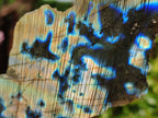 Polished On One Side Labradorite x 3 From Tulear, Madagascar - Toprock Gemstones and Minerals 