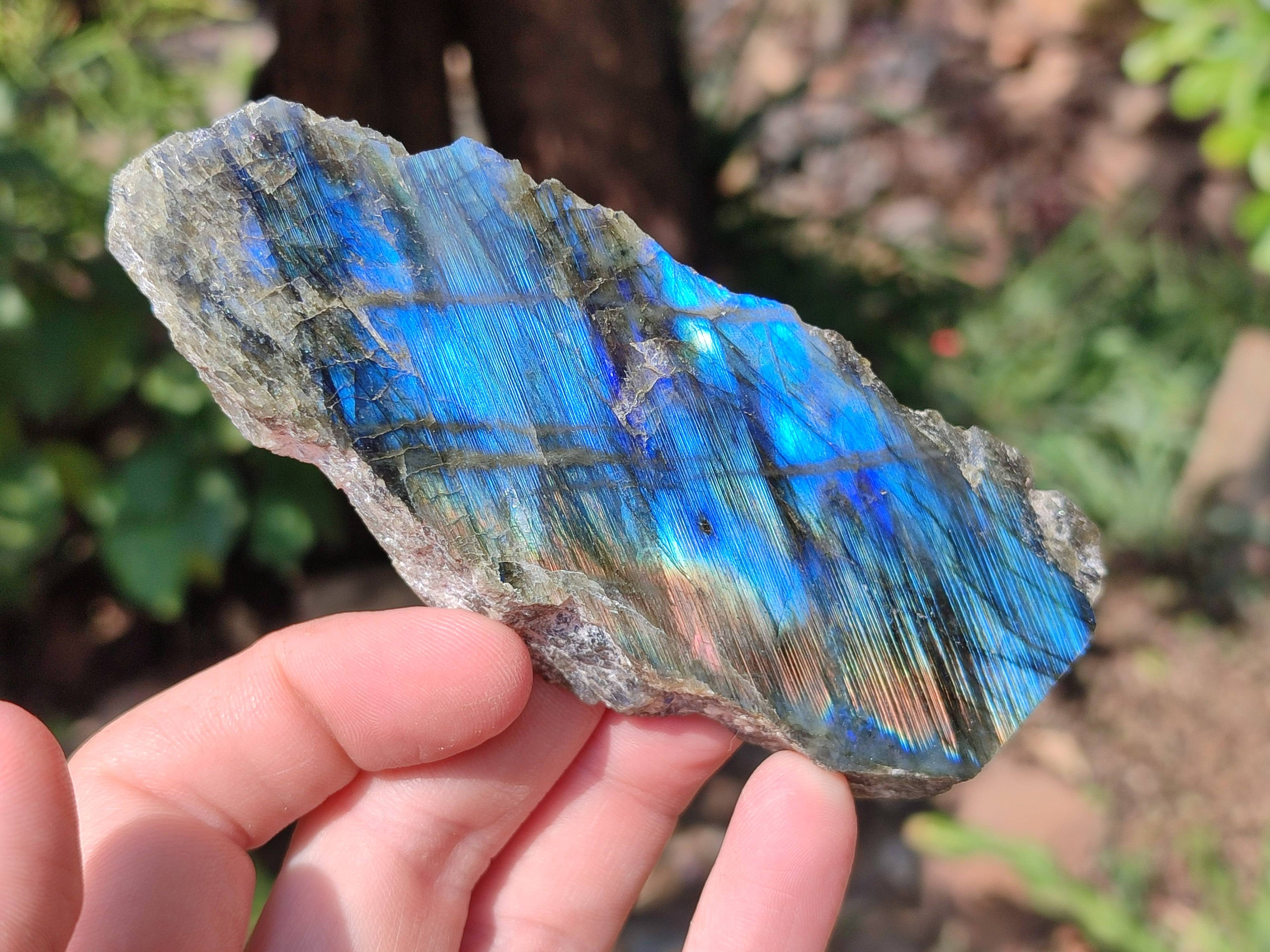 Polished On One Side Labradorite x 3 From Tulear, Madagascar - Toprock Gemstones and Minerals 