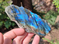 Polished On One Side Labradorite x 3 From Tulear, Madagascar - Toprock Gemstones and Minerals 
