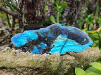 Polished On One Side Labradorite x 3 From Tulear, Madagascar - Toprock Gemstones and Minerals 