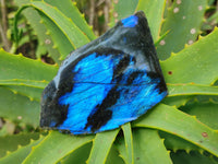 Polished On One Side Labradorite x 3 From Tulear, Madagascar - Toprock Gemstones and Minerals 