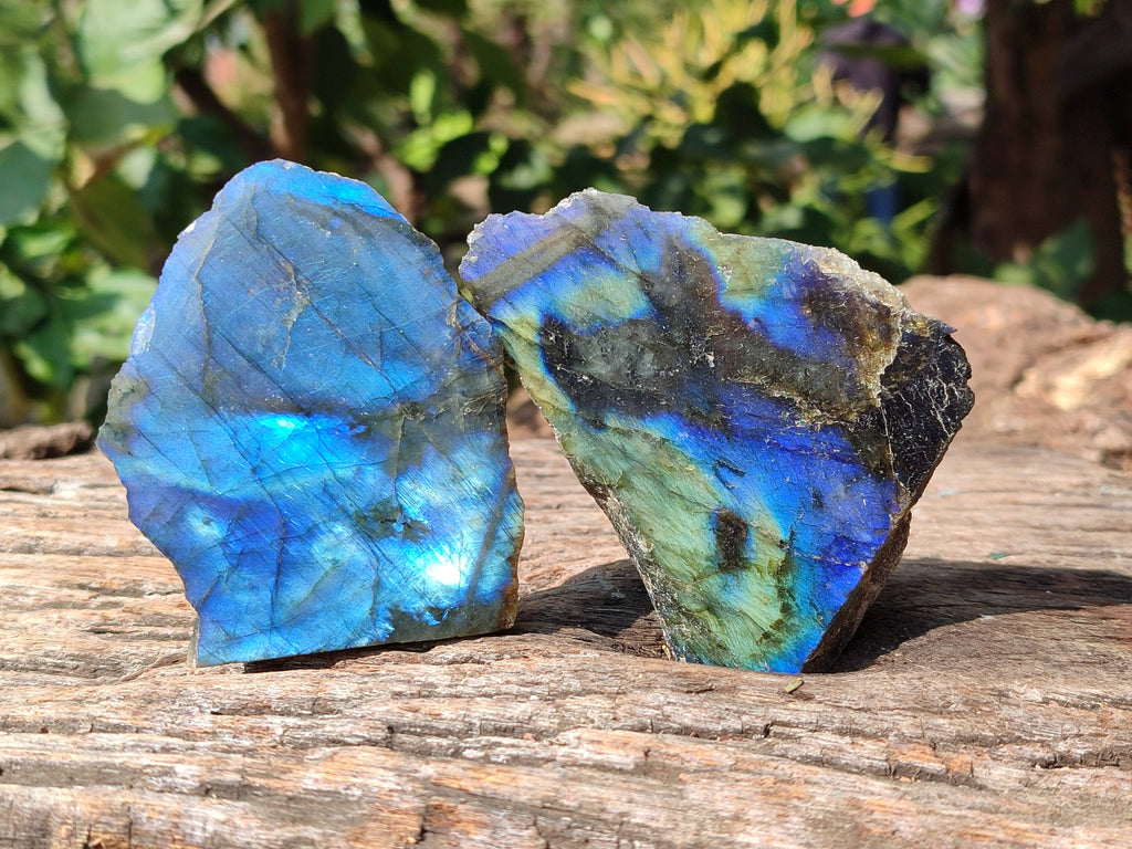 Polished On One Side Labradorite x 3 From Tulear, Madagascar - Toprock Gemstones and Minerals 