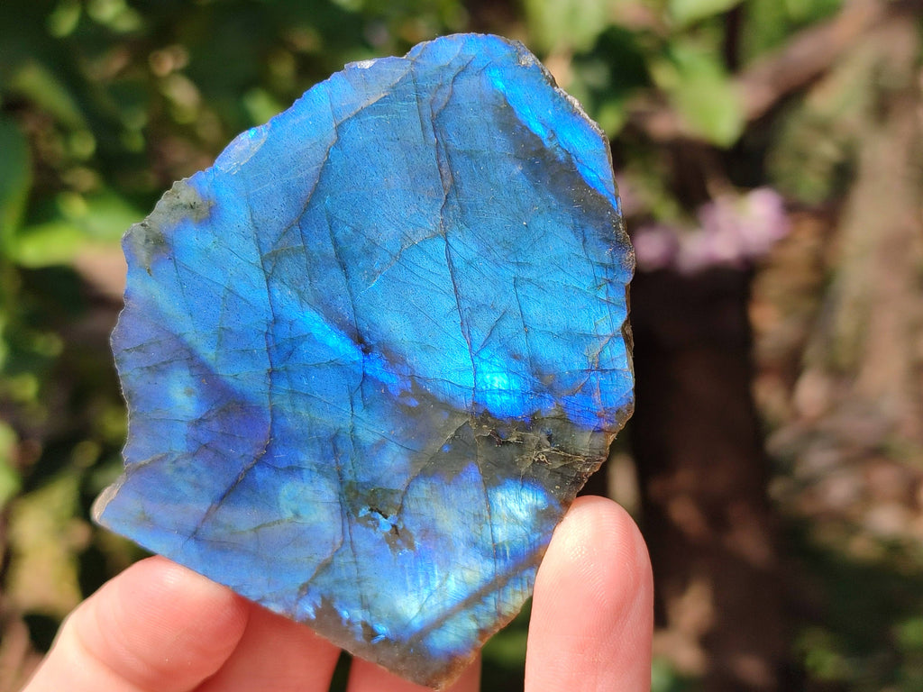 Polished On One Side Labradorite x 3 From Tulear, Madagascar - Toprock Gemstones and Minerals 