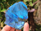 Polished On One Side Labradorite x 3 From Tulear, Madagascar - Toprock Gemstones and Minerals 