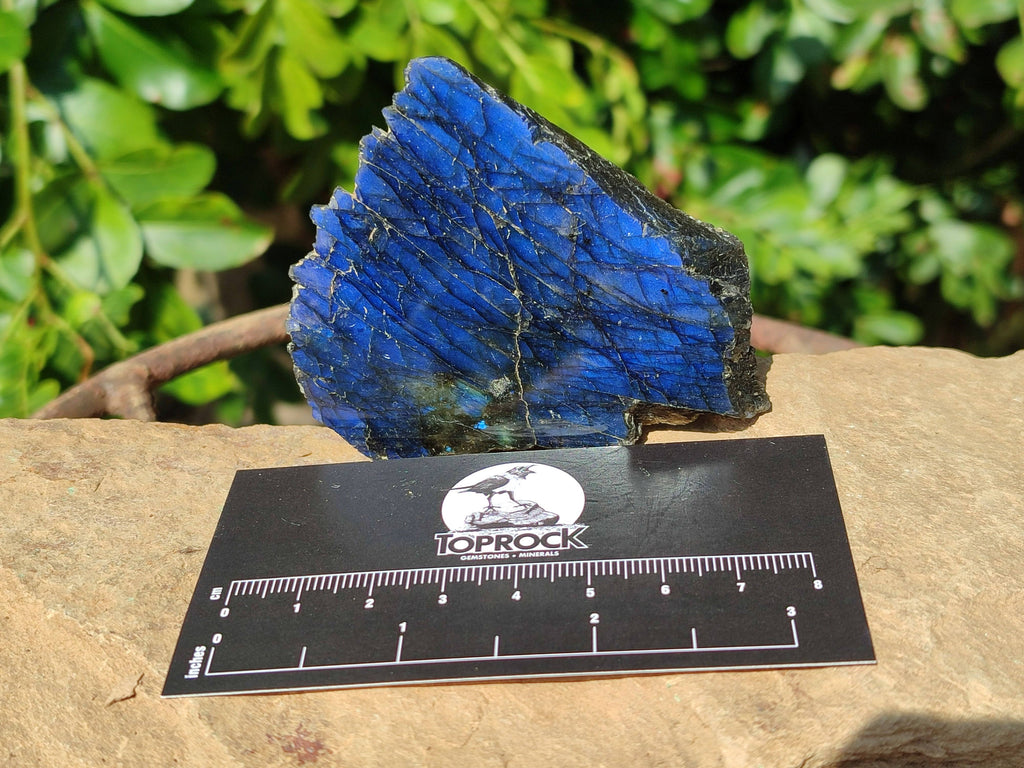 Polished On One Side Labradorite x 3 From Tulear, Madagascar - Toprock Gemstones and Minerals 