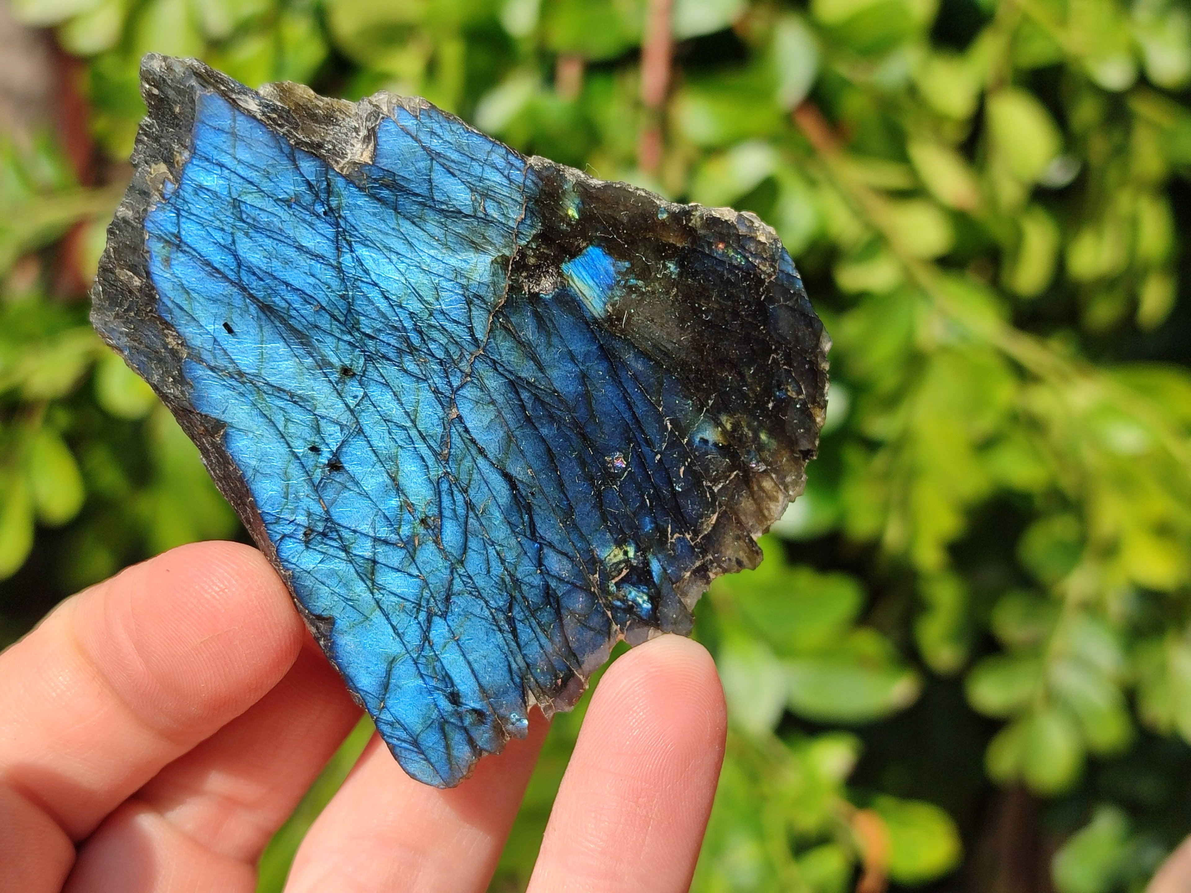 Polished On One Side Labradorite x 3 From Tulear, Madagascar - Toprock Gemstones and Minerals 