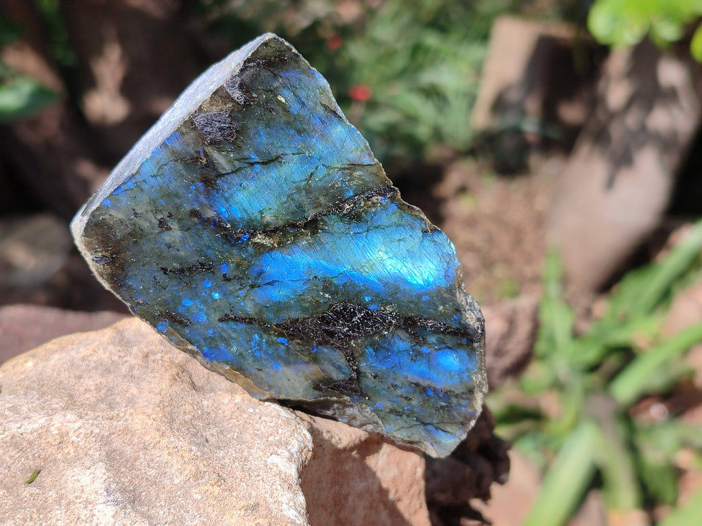 Polished On One Side Labradorite x 3 From Tulear, Madagascar - Toprock Gemstones and Minerals 