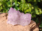 Natural Amethyst Spirit Quartz Clusters x 12 From Boekenhouthoek, South Africa - Toprock Gemstones and Minerals 