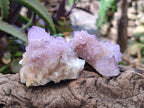 Natural Amethyst Spirit Quartz Clusters x 12 From Boekenhouthoek, South Africa - Toprock Gemstones and Minerals 