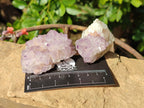 Natural Amethyst Spirit Quartz Clusters x 12 From Boekenhouthoek, South Africa - Toprock Gemstones and Minerals 