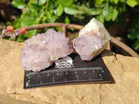 Natural Amethyst Spirit Quartz Clusters x 12 From Boekenhouthoek, South Africa - Toprock Gemstones and Minerals 