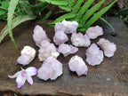 Natural Amethyst Spirit Quartz Clusters x 12 From Boekenhouthoek, South Africa - Toprock Gemstones and Minerals 