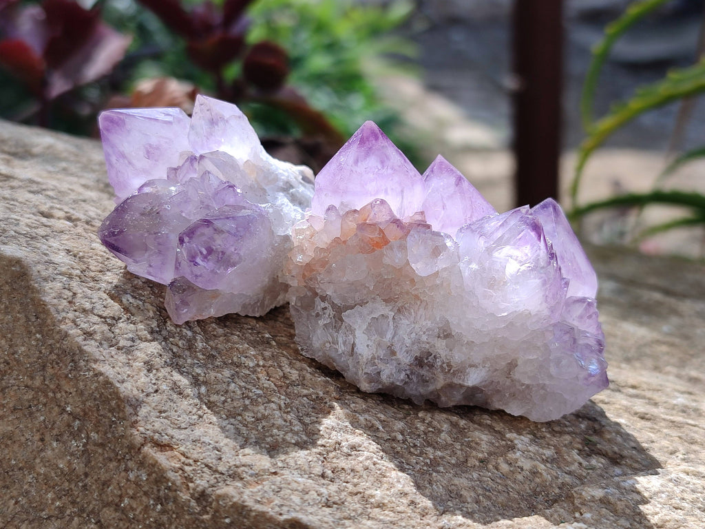 Natural Amethyst Spirit Quartz Clusters x 12 From Boekenhouthoek, South Africa - Toprock Gemstones and Minerals 