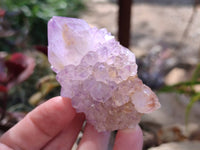 Natural Amethyst Spirit Quartz Clusters x 12 From Boekenhouthoek, South Africa - Toprock Gemstones and Minerals 