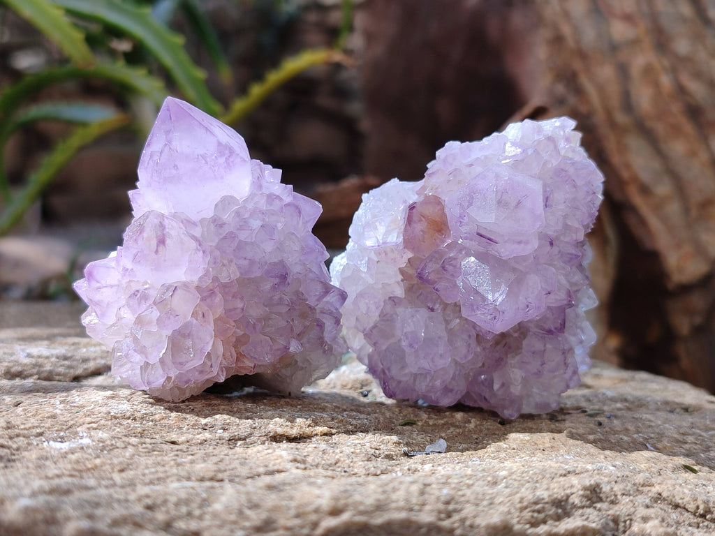 Natural Amethyst Spirit Quartz Clusters x 12 From Boekenhouthoek, South Africa - Toprock Gemstones and Minerals 