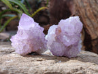 Natural Amethyst Spirit Quartz Clusters x 12 From Boekenhouthoek, South Africa - Toprock Gemstones and Minerals 