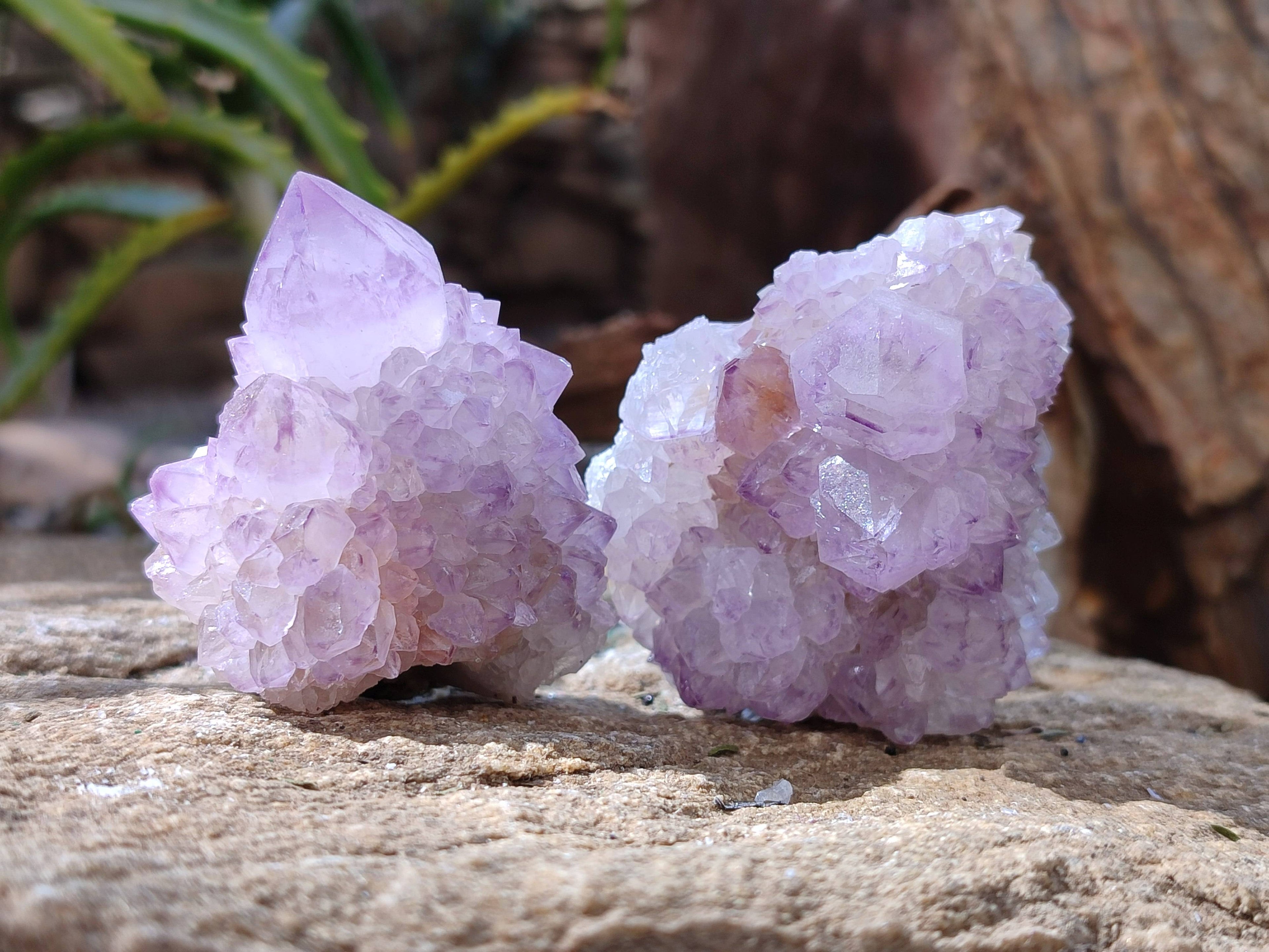 Natural Amethyst Spirit Quartz Clusters x 12 From Boekenhouthoek, South Africa - Toprock Gemstones and Minerals 