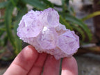 Natural Amethyst Spirit Quartz Clusters x 12 From Boekenhouthoek, South Africa - Toprock Gemstones and Minerals 