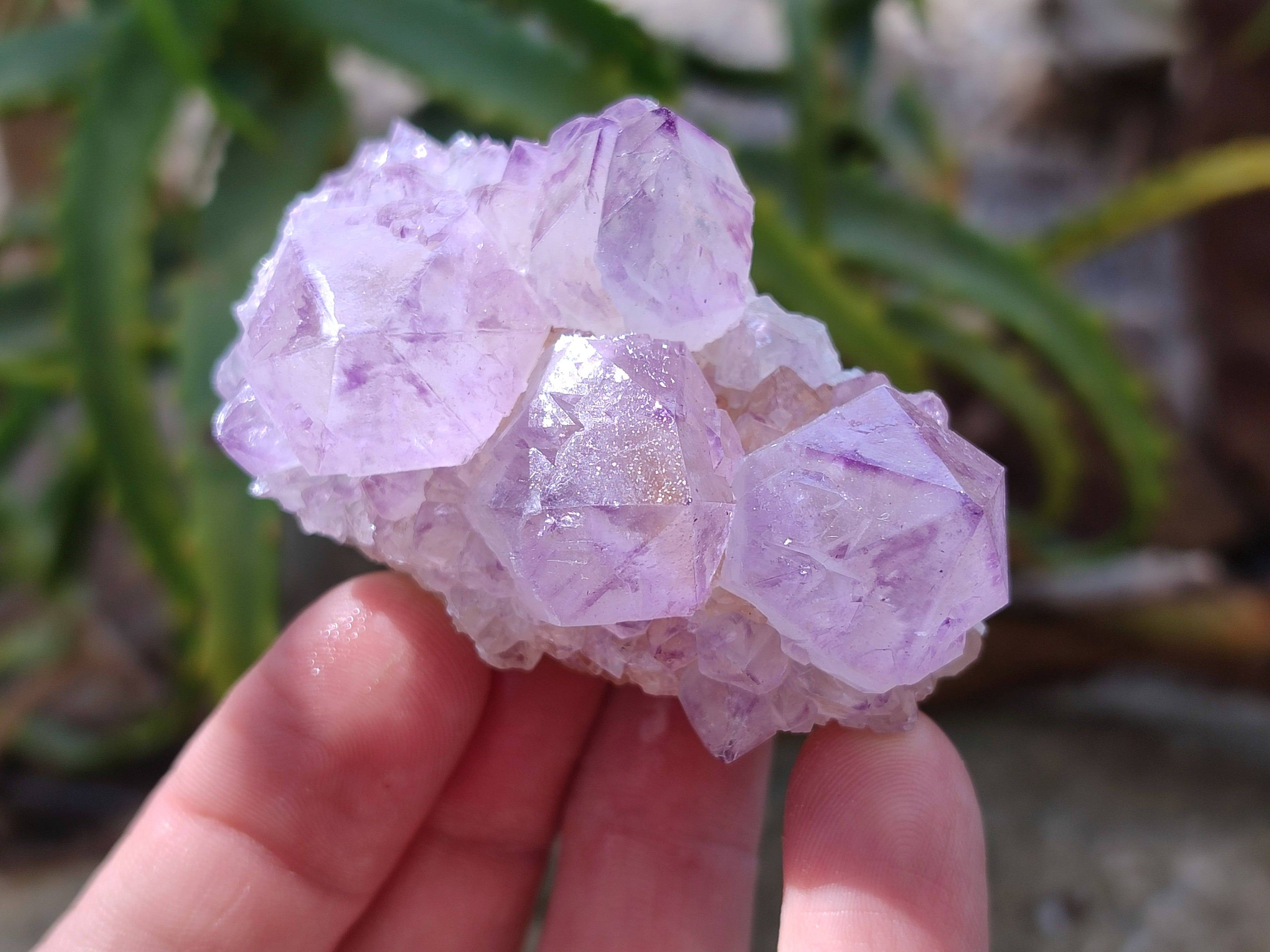Natural Amethyst Spirit Quartz Clusters x 12 From Boekenhouthoek, South Africa - Toprock Gemstones and Minerals 