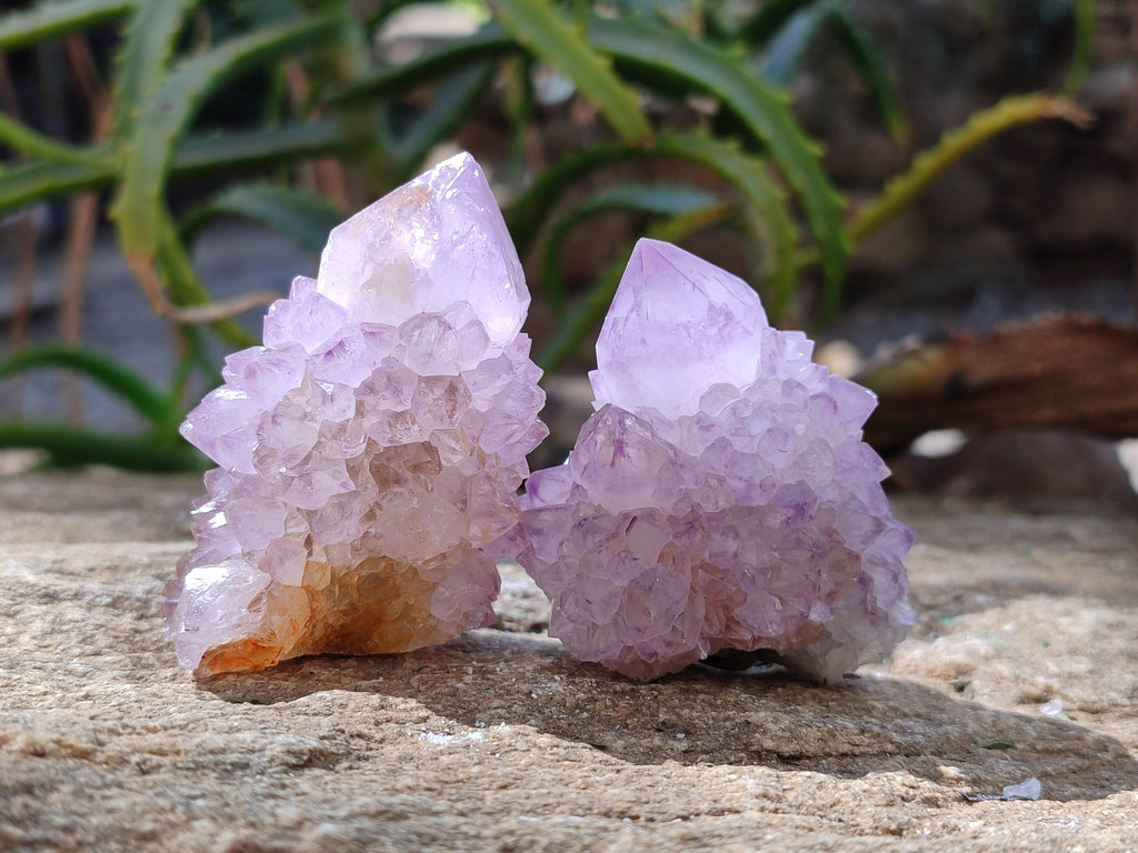 Natural Amethyst Spirit Quartz Clusters x 12 From Boekenhouthoek, South Africa - Toprock Gemstones and Minerals 