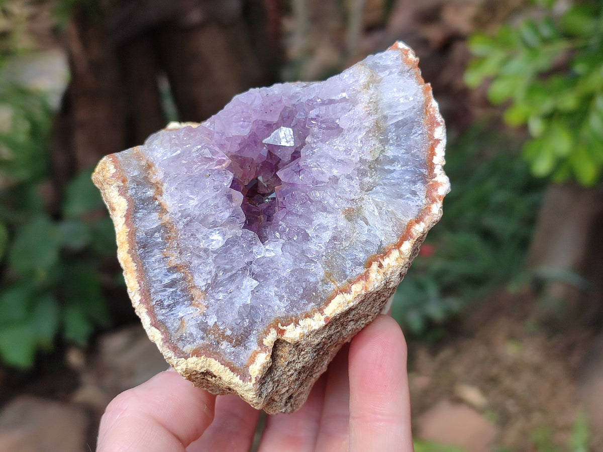 Natural Zululand Amethyst Geodes x 3 from Jozini, South Africa - Toprock Gemstones and Minerals 