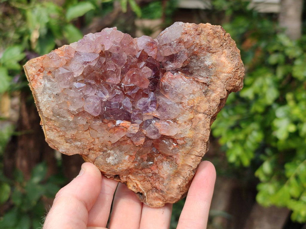 Natural Zululand Amethyst Geodes x 3 from Jozini, South Africa - Toprock Gemstones and Minerals 