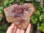 Natural Zululand Amethyst Geodes x 3 from Jozini, South Africa - Toprock Gemstones and Minerals 
