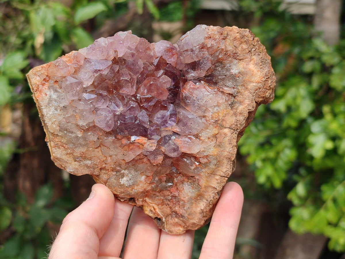 Natural Zululand Amethyst Geodes x 3 from Jozini, South Africa - Toprock Gemstones and Minerals 