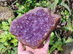 Natural Zululand Amethyst Geodes x 3 from Jozini, South Africa - Toprock Gemstones and Minerals 