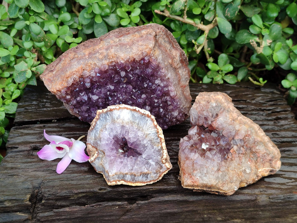 Natural Zululand Amethyst Geodes x 3 from Jozini, South Africa - Toprock Gemstones and Minerals 