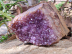 Natural Zululand Amethyst Geodes x 3 from Jozini, South Africa - Toprock Gemstones and Minerals 