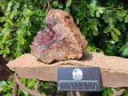 Natural Zululand Amethyst Geodes x 3 from Jozini, South Africa - Toprock Gemstones and Minerals 