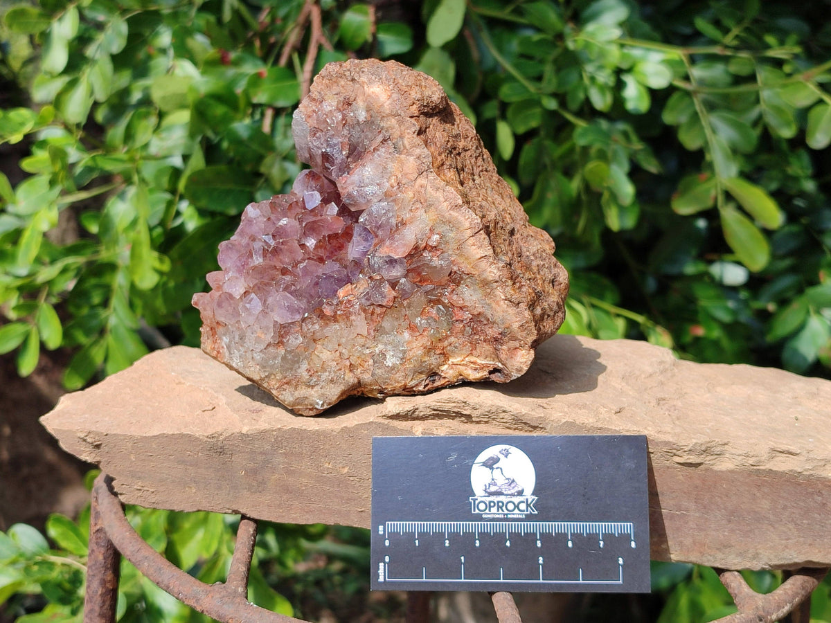 Natural Zululand Amethyst Geodes x 3 from Jozini, South Africa - Toprock Gemstones and Minerals 