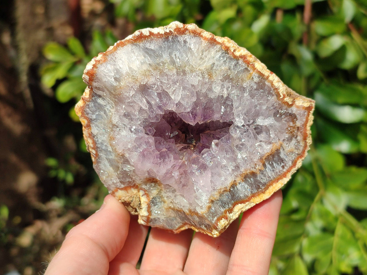 Natural Zululand Amethyst Geodes x 3 from Jozini, South Africa - Toprock Gemstones and Minerals 