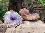 Natural Zululand Amethyst Geodes x 3 from Jozini, South Africa - Toprock Gemstones and Minerals 