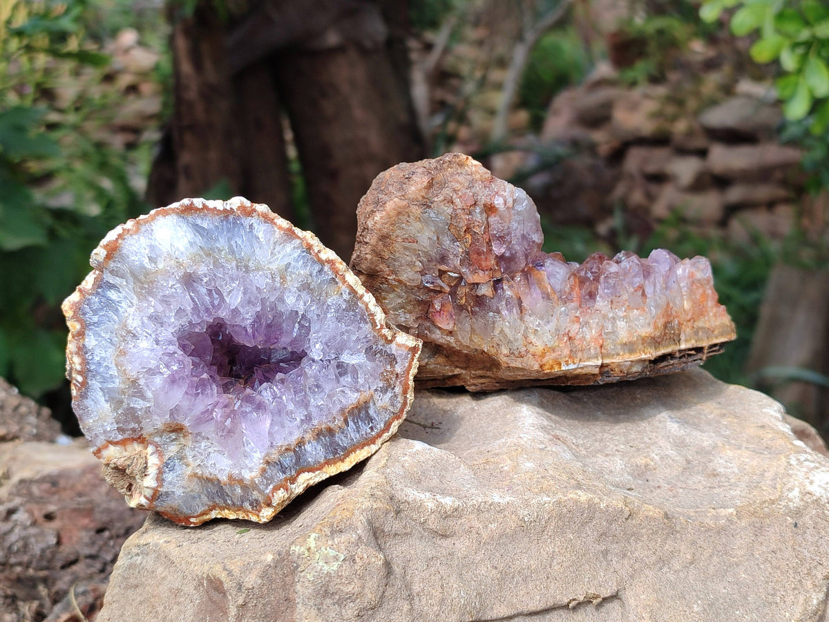 Natural Zululand Amethyst Geodes x 3 from Jozini, South Africa - Toprock Gemstones and Minerals 