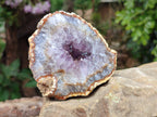 Natural Zululand Amethyst Geodes x 3 from Jozini, South Africa - Toprock Gemstones and Minerals 