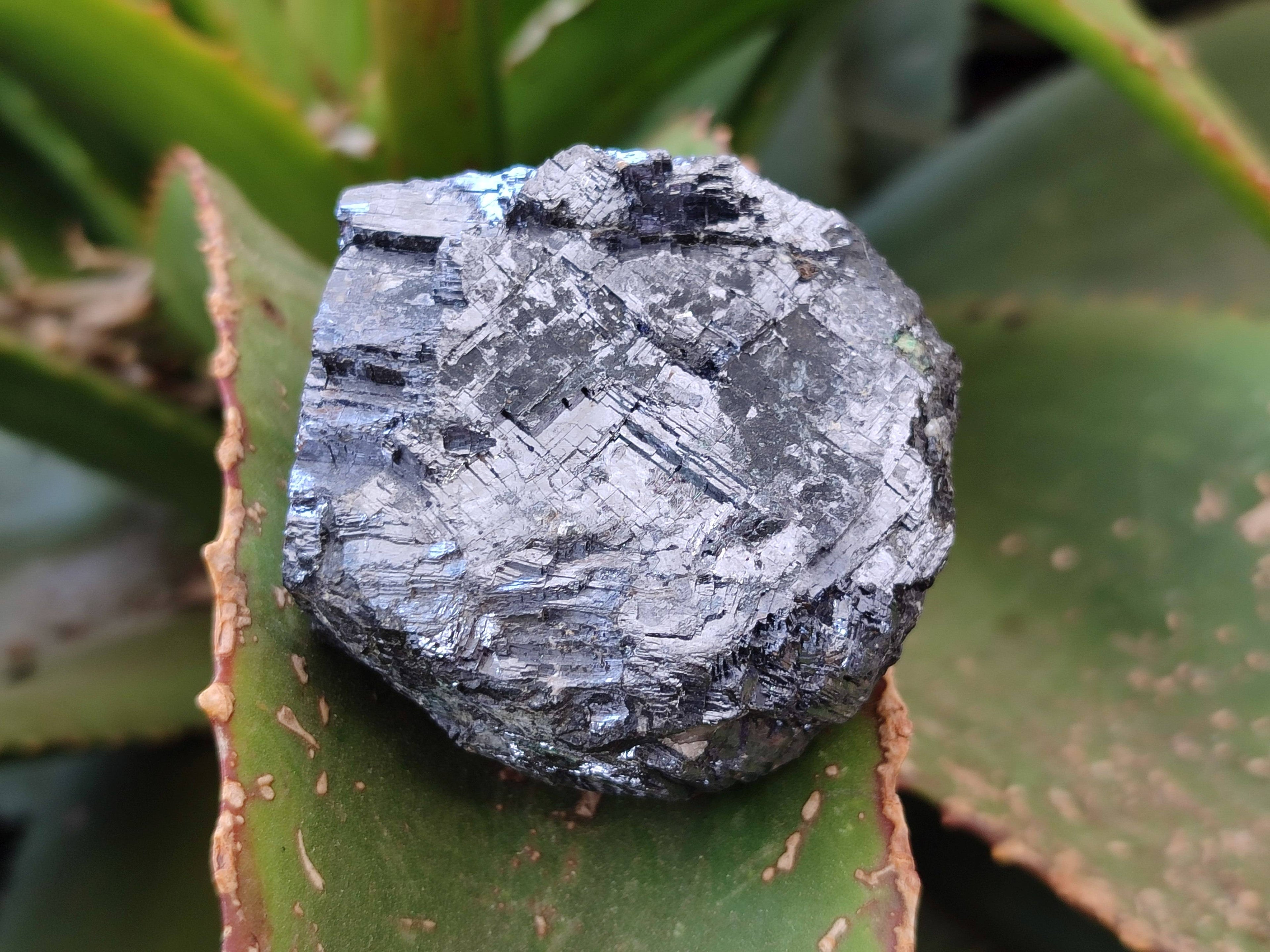 Natural Silver Lead Galena Specimens x 6 From Namibia - Toprock Gemstones and Minerals 