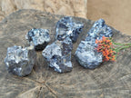 Natural Silver Lead Galena Specimens x 6 From Namibia - Toprock Gemstones and Minerals 