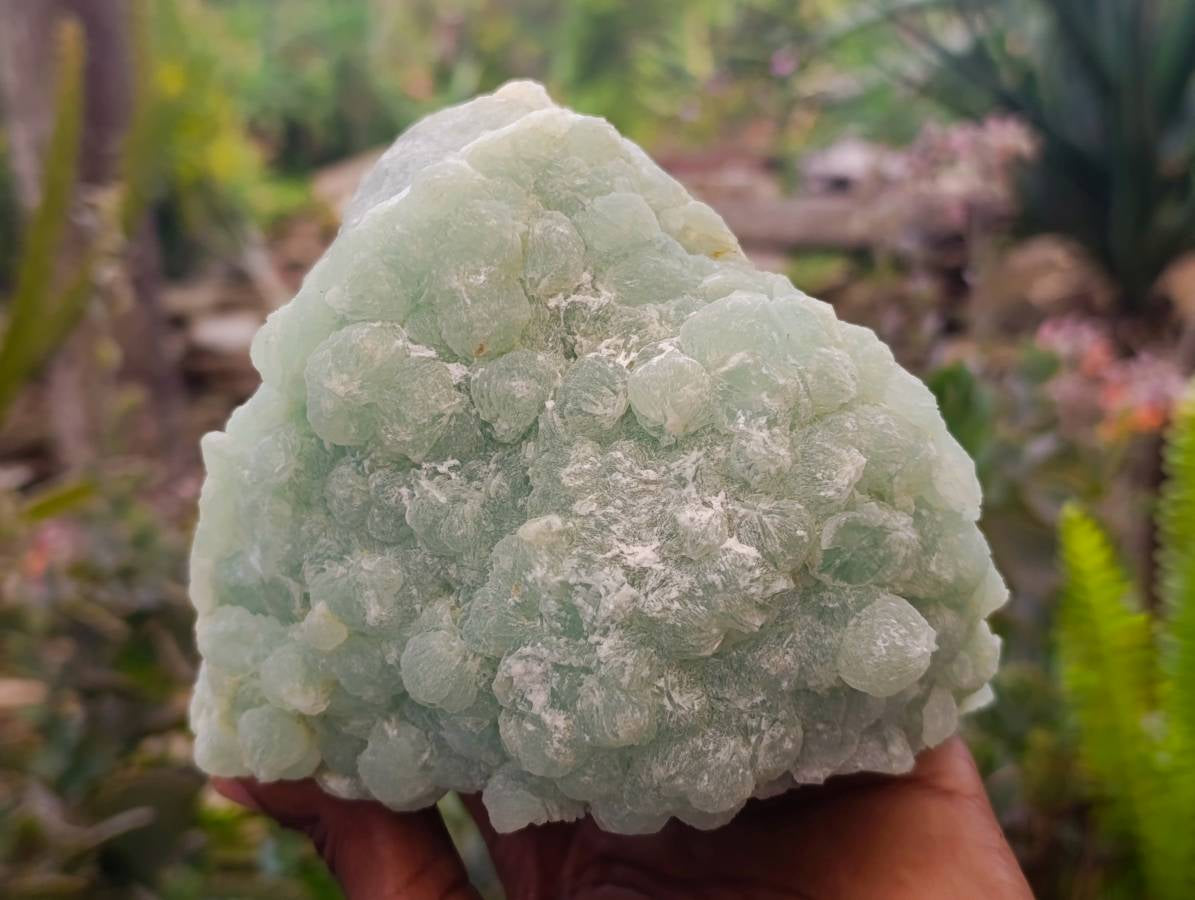 Natural Botryoidal Prehnite Specimen x 1 From Beaufort West, South Africa - Toprock Gemstones and Minerals 