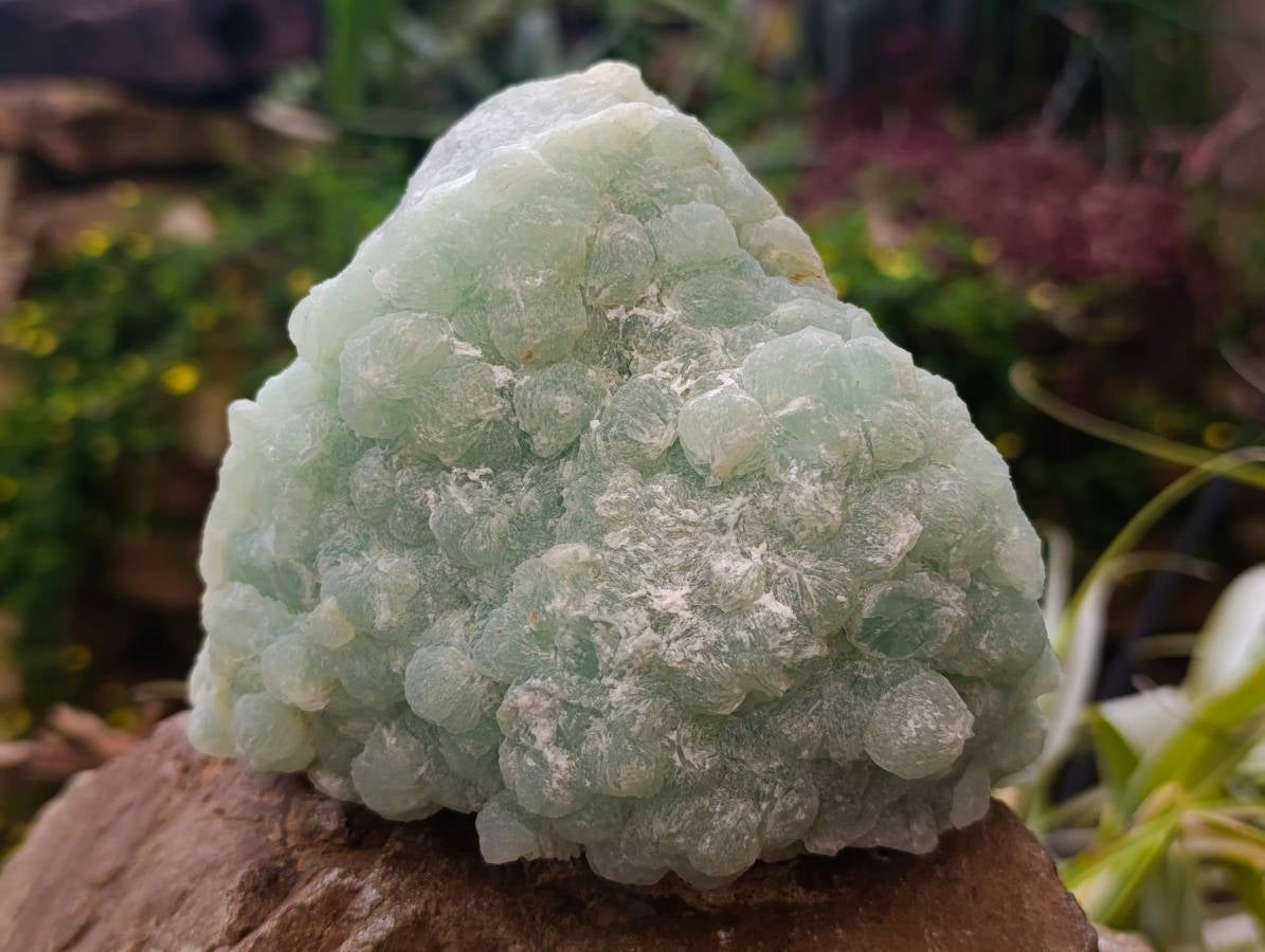 Natural Botryoidal Prehnite Specimen x 1 From Beaufort West, South Africa - Toprock Gemstones and Minerals 