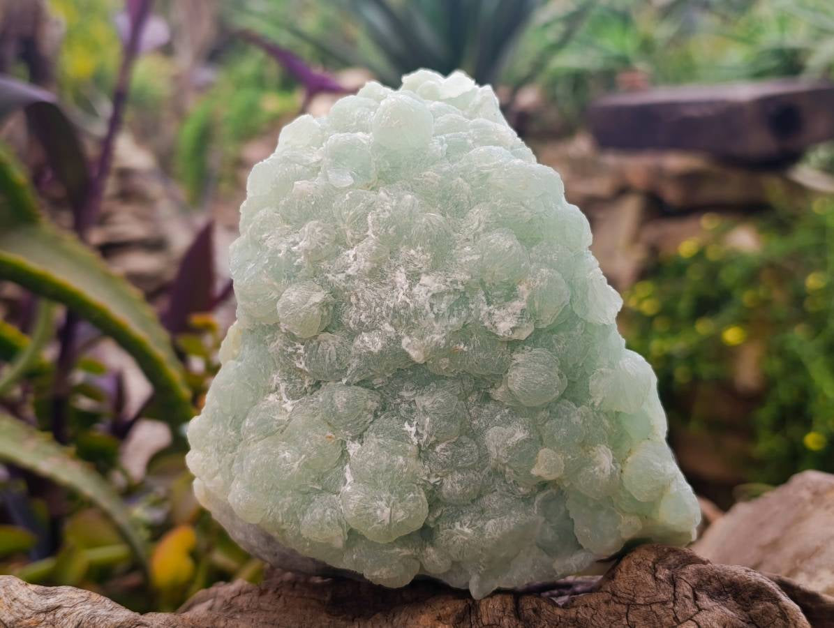 Natural Botryoidal Prehnite Specimen x 1 From Beaufort West, South Africa - Toprock Gemstones and Minerals 