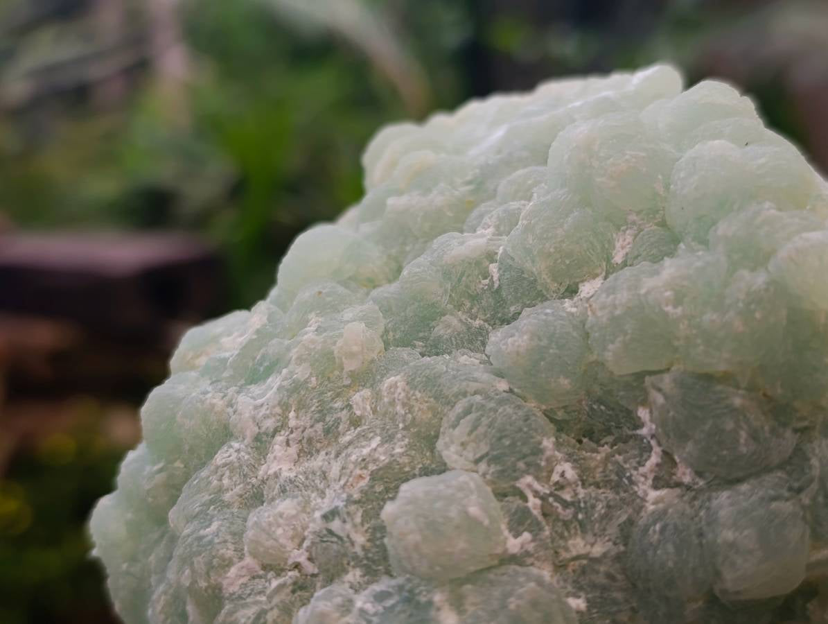 Natural Botryoidal Prehnite Specimen x 1 From Beaufort West, South Africa - Toprock Gemstones and Minerals 