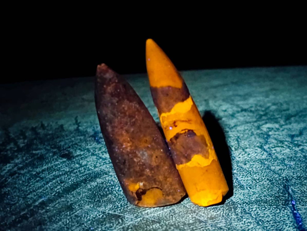 Natural Belimnite Fossils x 1 Lot, From Maintiarano, Madagascar - Toprock Gemstones and Minerals 