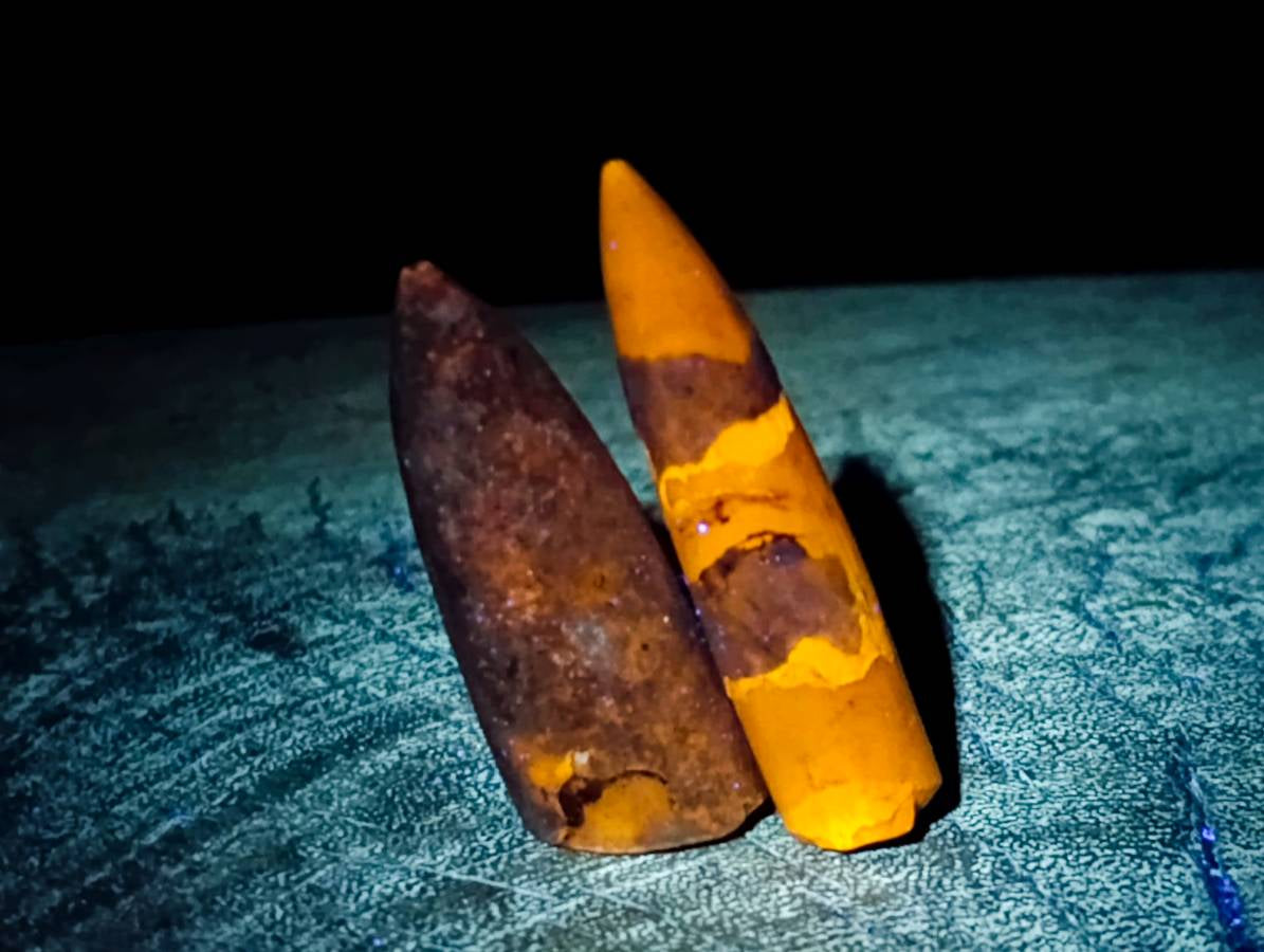 Natural Belimnite Fossils x 1 Lot, From Maintiarano, Madagascar - Toprock Gemstones and Minerals 