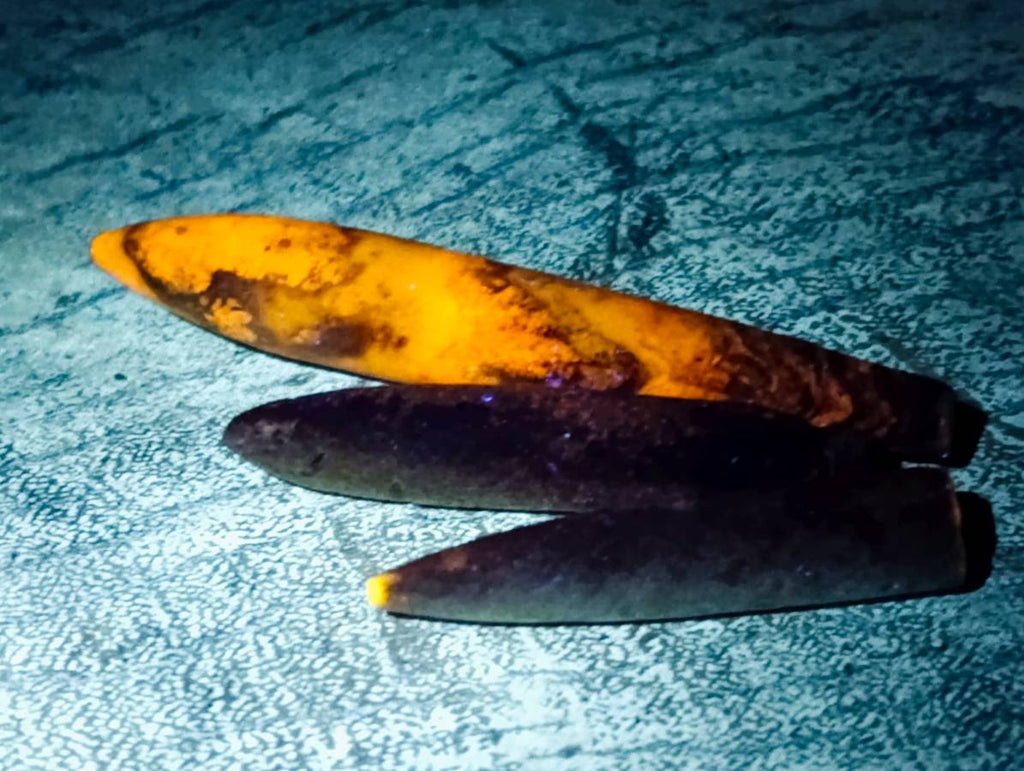 Natural Belimnite Fossils x 1 Lot, From Maintiarano, Madagascar - Toprock Gemstones and Minerals 