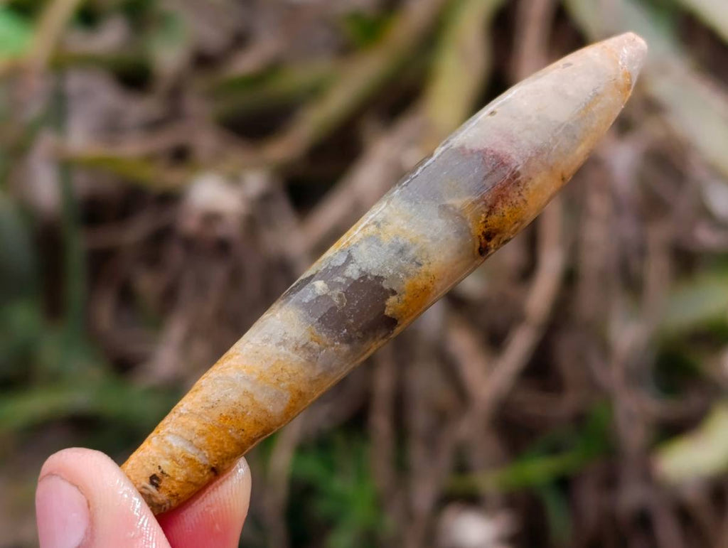 Natural Belimnite Fossils x 1 Lot, From Maintiarano, Madagascar - Toprock Gemstones and Minerals 